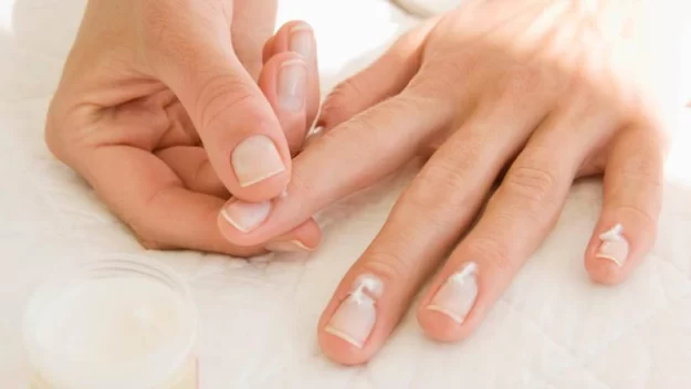 loan_duong_mong_7_8dd215447e