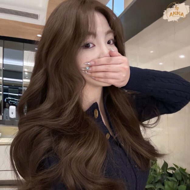 Lam Toc Huu Co Organic Hair Color