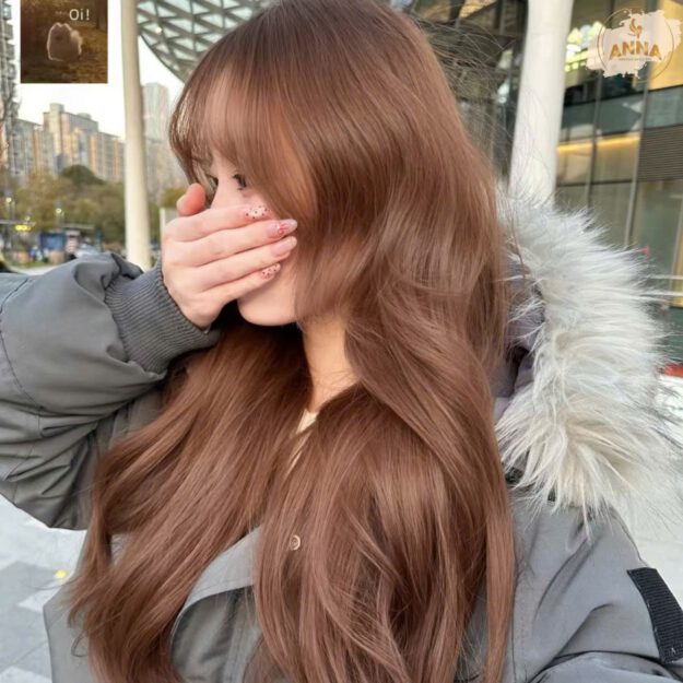 Lam Toc Huu Co Organic Hair Color