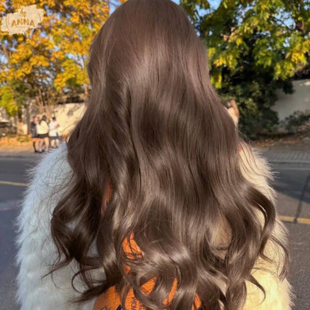 Toc Huu Co Organic Hair Color