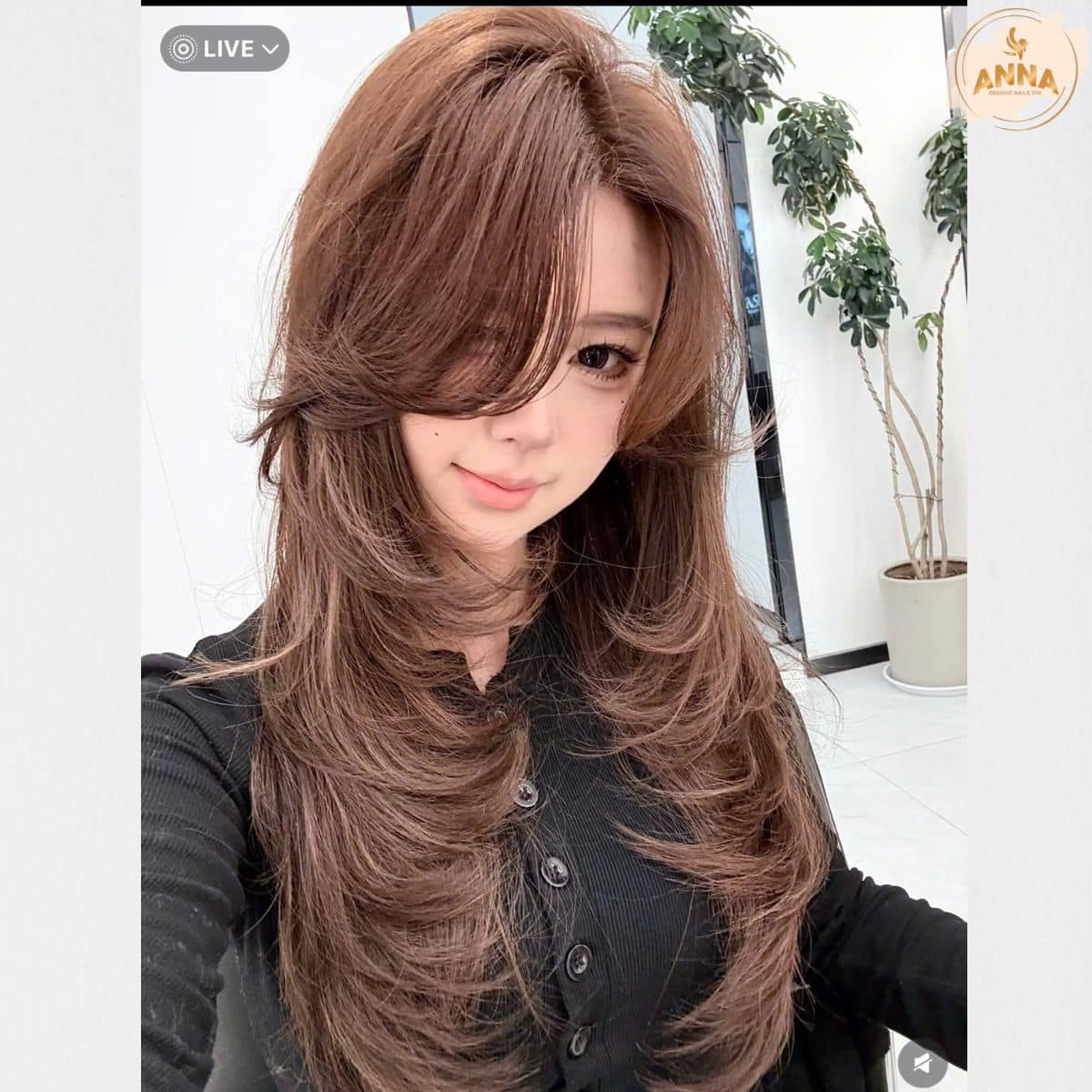 Organic Hair Spa Saigon Pearl