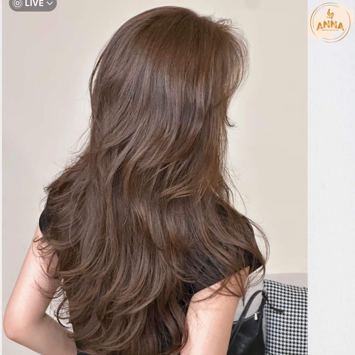 Spa Organic Hair Landmark